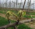 6de Nonkelfransrit 21-4-2013 (214)